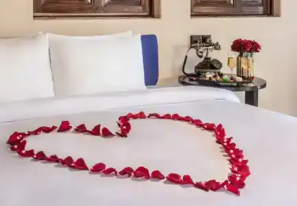 Al Maya Island & Resort - 30