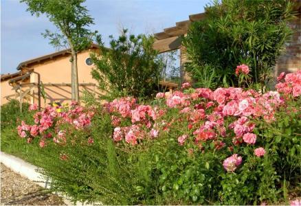 Villaggio Ca' Laguna - 4