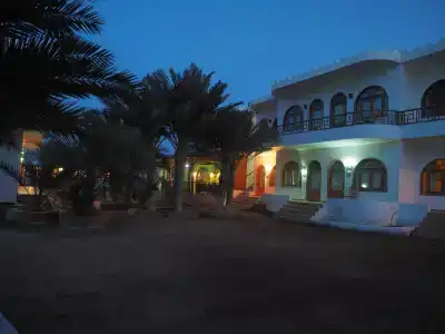 Shams & Dive Centre - 0