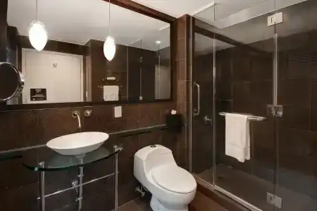 The Sam Houston, Curio Collection by Hilton - 66