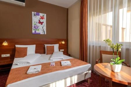 Patak Park - Adults Only - 27