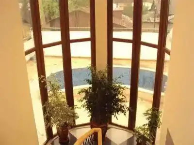 Oasis - 5