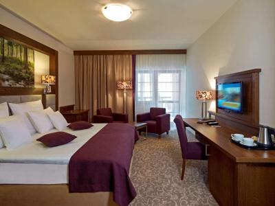 Mercure Krynica Zdrój Resort&Spa - 5