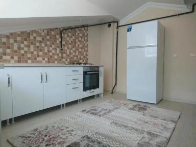 Cerrahpasa Apart - 69