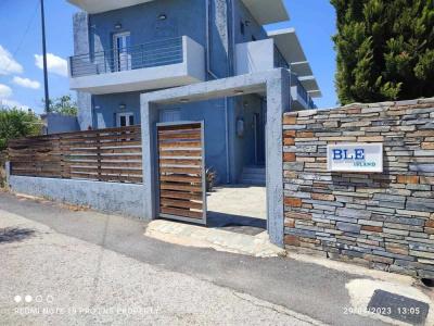 Ble Island - 17