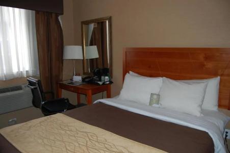 Ramada by Wyndham New York Times Square West - 26