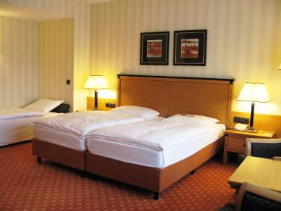 Maritim Dresden - 27