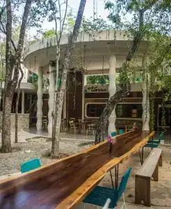 Holistika Tulum - 20