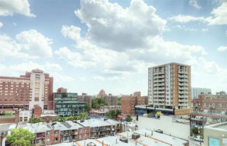 Asiatic - Flushing - 13