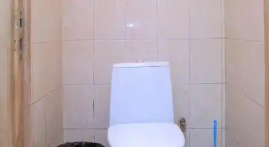 Вежливый Лось на ВДНХ - 10