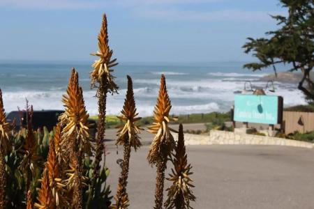 Cambria Shores Inn - 7