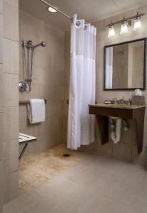 Hilton Anatole - 7