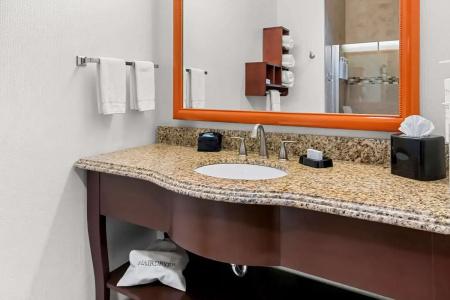 Hampton Inn & Suites I-20 - 69