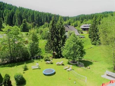 Schwarzwald ApartKräutle - 21