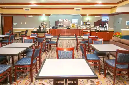 Holiday Inn Express & Suites Central - 46