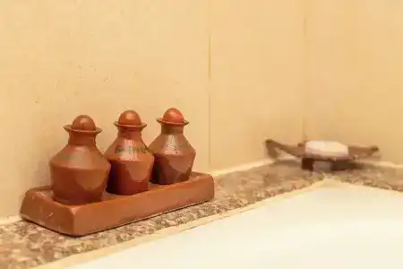 Atithi & Spa - 55