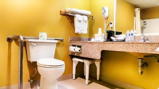 Quality Inn Airport - 60
