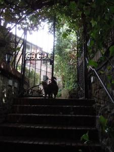 Villino Corbelli b&b - 16