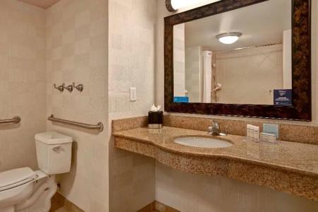 Hampton Inn & Suites-Downtown-Riverplace - 87