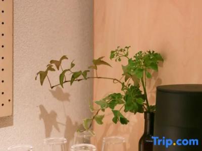 Best Western Premier Freeport Inn Airport - 49