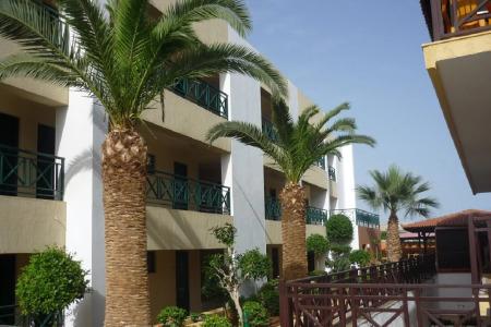 Despo - All Inclusive - 18