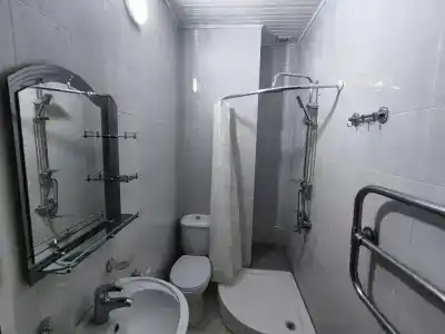 Белый лебедь - 8