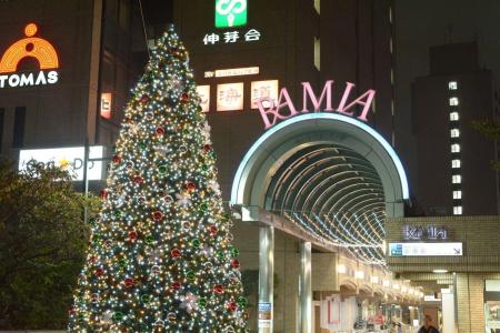 Tokyo Central Youth Hostel - 0