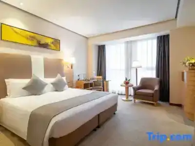 Regal Jinfeng - 40