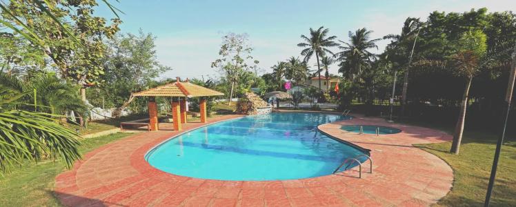 Mermaid Resorts & Banquets - 13