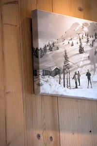 le Petit Dru - 22