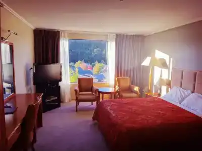 Albany Rosedale - 17