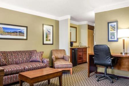 Comfort Inn & Suites - 68