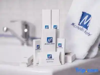 Michelin - 32