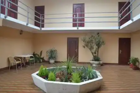 Фиалка - 0