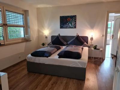 Pension Tulpe - 93