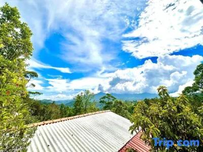 The Ella Nature Life Guest Inn - 34