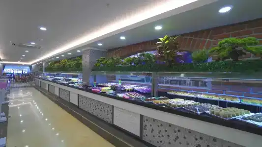 Dream World Palace - 10