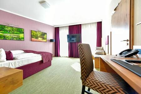 Best Western Plus Park& Spa Cottbus - 41