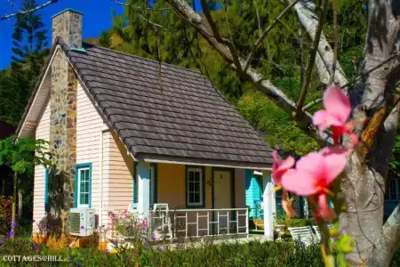 Cottages @ Hill - 60