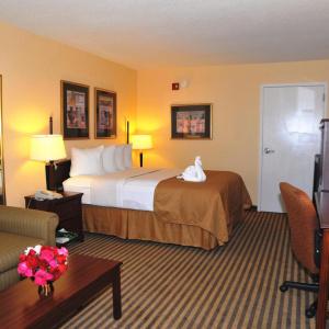 Opal & Suites - 36