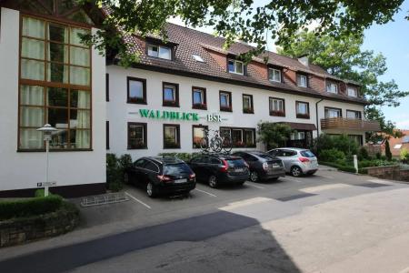 Waldblick - 24