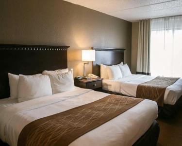 Comfort Suites Austin Airport - 51