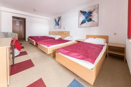 Center Bohinjsko Jezero - 135