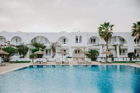 Bougainvillier Djerba - 7