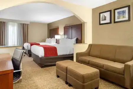 Comfort Inn & Suites North I-75 - 2