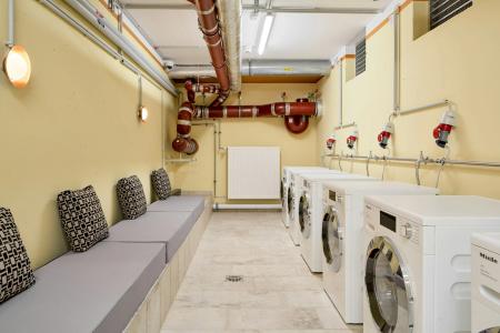 Schwan Locke - 28