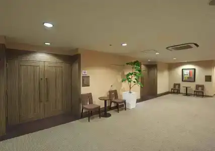 Chisun Hiroshima - 1