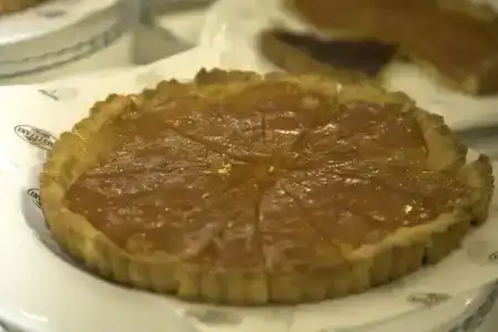 Enzo - 10