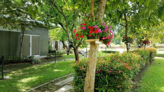 Baan Suan Him Doi - 4