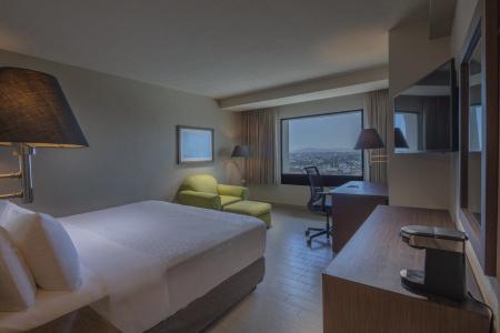 Holiday Inn Puebla La Noria, An Ihg - 27